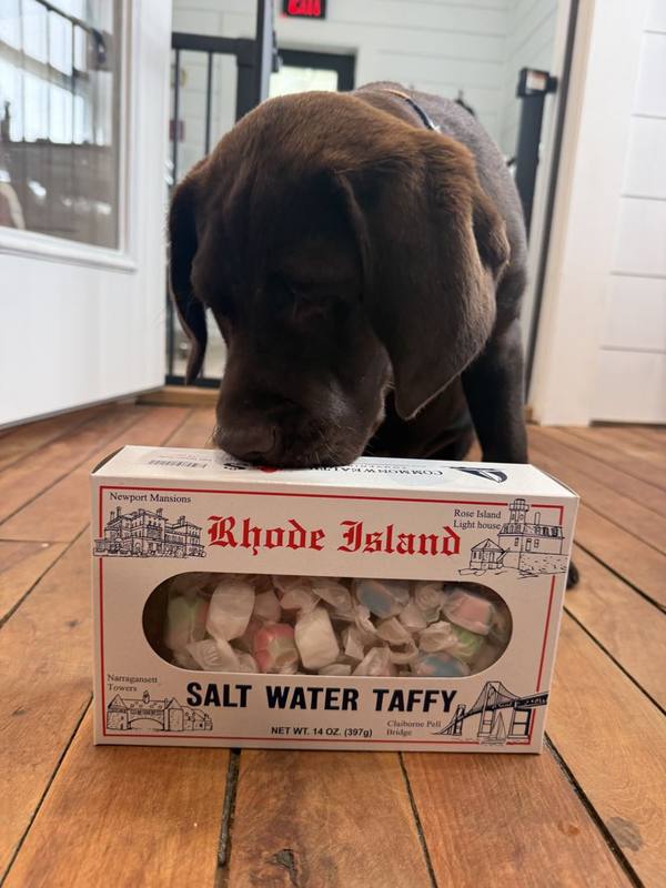 Chip sniffing a box of Rhode Island salt water taffy